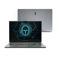 ThundeRobot 雷神 911 Plus 11代 11代酷睿版 17.3英寸 游戏本