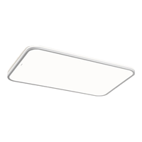 松下（Panasonic）全光谱高显色客厅灯卧室书房儿童快装灯防尘防虫米家智能调光调色 全光谱侧发光晴云HHXSX005-110W