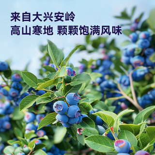 京东京造有机蓝莓果酱纯熬果肉儿童涂抹吐司面包果酱0添加白砂糖