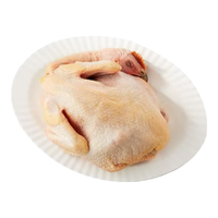 山野云陵农场 山林散养黄油老母鸡 皖南农家土鸡走地鸡新鲜现杀清蒸煲汤 山养老母鸡净重2斤