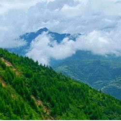 [云华山-大门票]云华山-大门票