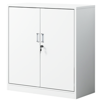  ZHONGWEI/中伟 钢制铁皮柜  长850mm;宽390mm;高920mm 对开门矮柜 2层