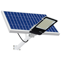 湘哲太阳能路灯户外LED照明灯庭院投光灯新农村家用超亮10000-W+光控