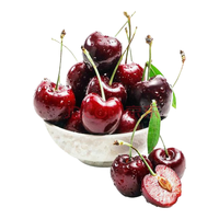 玖原农珍 智利车厘子原箱整版装当季樱桃新鲜水果 年货礼盒 5斤(净重) 大果(J)