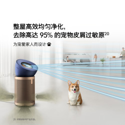 戴森 BP04 空气净化 蓝金色
