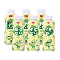 Bright 光明 植物活力活菌饮品340ml*6瓶原味0脂肪低温乳酸菌含乳饮料