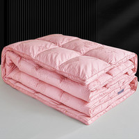 全棉羽绒被套被壳半成品自充绒羽绒被壳纯棉双层加密防钻绒内胆套 180x220cm