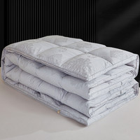 全棉羽绒被套被壳半成品自充绒羽绒被壳纯棉双层加密防钻绒内胆套 160X210cm【防钻绒】