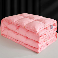 全棉羽绒被套被壳半成品自充绒羽绒被壳纯棉双层加密防钻绒内胆套 160x210cm
