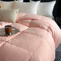 全棉羽绒被套被壳半成品自充绒羽绒被壳纯棉双层加密防钻绒内胆套 220x240cm