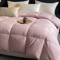 全棉羽绒被套被壳半成品自充绒羽绒被壳纯棉双层加密防钻绒内胆套 180x220cm