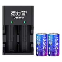 Delipow 德力普 1号充电电池 D型一号锂电池大容量配充电器套装1.5v恒压快充 适用燃气灶/煤气灶/热水器等