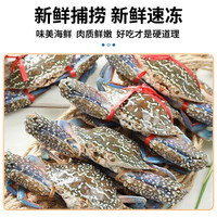 海蕴极鲜【活鲜】鲜活 新鲜海南特产海螃蟹满肉烧烤 200g -250g/只*10只