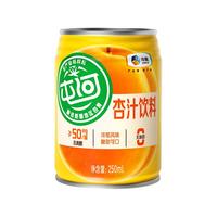 屯河 中粮屯河杏汁听装250ml