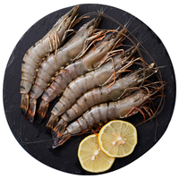 粤海湾 巨型黑虎虾超大特大号 老虎虾大虾生鲜虾类海鲜礼盒年货 巨型5只 长25-27cm 空运 空运/深圳|青岛|武汉发货