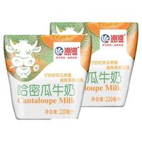 海河(HAI HE)牛奶早餐奶天津海河网红风味奶日期220ml新鲜袋装奶 哈密瓜12袋 默认