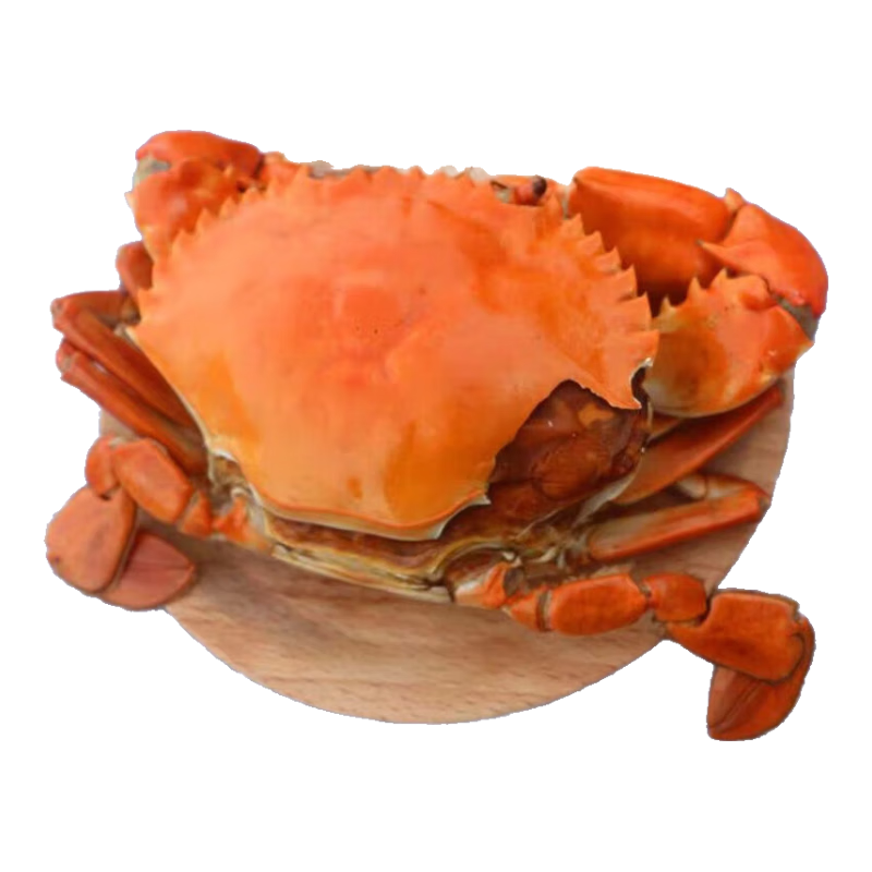【鲜活】重壳蟹重皮蟹一蟹二壳双壳蟹软壳蟹鲜活南沙重皮蟹 500g/份（3只） 500g 简装