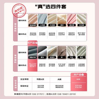 九洲鹿床上用品四件套被套罩200*230cm1.5/1.8米床可机洗卡皮巴拉 卡皮巴拉【亲肤磨毛】