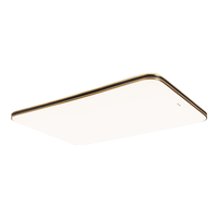 Panasonic 松下 明畔系列 吸顶灯 全光谱吸顶灯智能客厅灯 米家灯具套餐 两室一厅