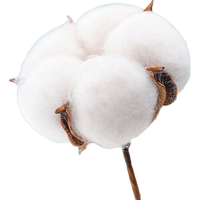 京东京造 一次性内裤男纯棉内裤免洗出差旅行度假独立10条装 XXL