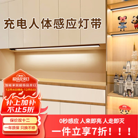 大头人 橱柜灯 充电感应灯 小夜灯 楼道灯 人体感应灯