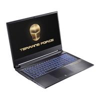 TERRANS FORCE 未来人类 X521 15.6英寸 游戏本 黑色(酷睿i7-11800H、RTX 3060、16GB、1T PCIe SSD、Laptop 240Hz)