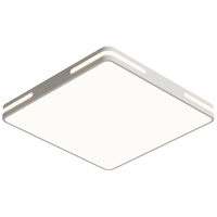 CHANGHONG 长虹 照明吸顶灯led卧室灯现代简约客厅灯阳台过道书房餐厅灯具 (力荐）40*40*5CM27瓦白光