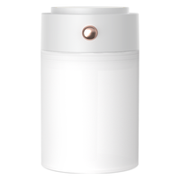 HANASS 海纳斯 加湿器 卧室家用办公室桌面迷你轻音车载USB插电便携夜灯加湿器伴侣 LYP829