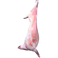 白云飘 【新羊】锡盟全羊24斤内蒙古草地整只羊白条羊生鲜羊肉年货礼盒