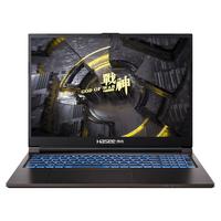  Hasee/神舟 165Hz 2.5K屏 游戏本  无机械硬盘 2560*1600 intel i7 黑色 16GB 1TB RTX