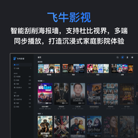 飞牛NAS零刻MEmini六盘位全闪nas英特尔N150网络储存服务器家庭影音4K刮削AI相册主机私有云店 极夜灰 5年质保【128G标配款】六盘位全闪nas