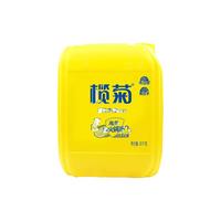 榄菊 洗洁精 20kg*1瓶 餐具清洁液