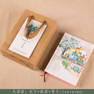 小清新彩页插画日记本子唯美可爱手账 女生文具毕业厚笔记本 粉色礼袋装