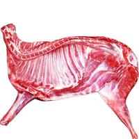 魃鲜新疆新鲜现杀阿勒泰大尾羊羔羊肉红烧水煮烤肉火锅手抓饭食材 羔羊半只羊8斤【宁夏滩羊】