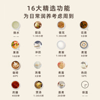 小熊养生壶办公室小型家用炖煮一体煮茶壶电热水壶2025烧水壶 皓月白升级款+蛋架