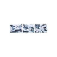 DJI/大疆 OSMO ACTION 5 PRO 运动相机机身保护贴纸