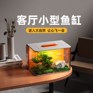 桌面小鱼缸客厅小型一体免换水2025生态缸懒人家用造景水族箱