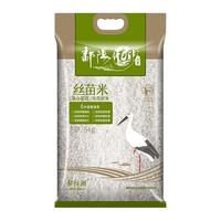  鄱阳湖 软糯 大米