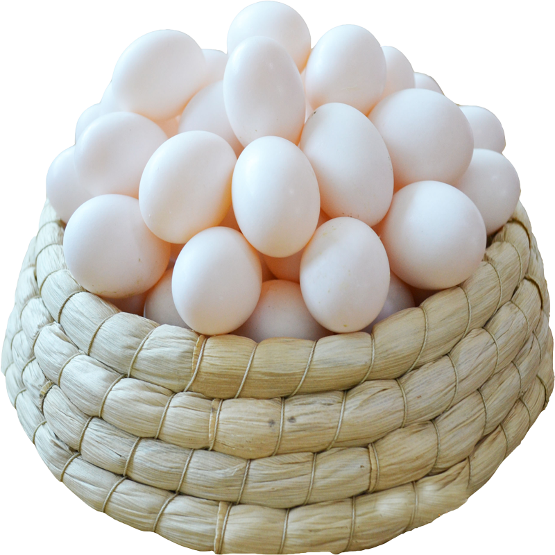  junxian/均鲜 杂粮喂养 鸽子蛋  礼盒装 600g
