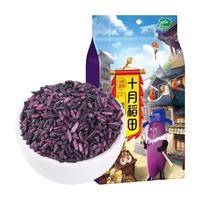 SHI YUE DAO TIAN 十月稻田 紫米