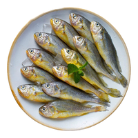 海速达 舟山野生海捕小黄鱼 净重2.4斤(36-39条)黄花鱼生鲜鱼类海鲜水产 2.4斤（36-39条）