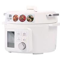 IRIS 爱丽思 电压力锅家用小型电高压锅全自动多功能饭煲火锅爱丽丝