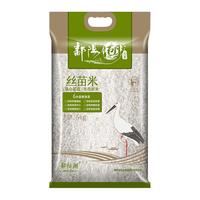 鄱阳湖大米丝苗米5kg1一级籼米煲仔江西新米长粒软糯香软米10斤