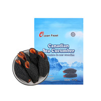 OCEAN FEAST OceanFeast加拿大野生北极淡干海参干货454g开口无花袋装