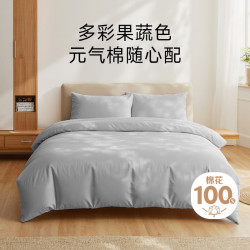 绘睡 Letsleep 元气棉被套 100%纯棉 母婴A类抗菌 220x240cm 银河灰