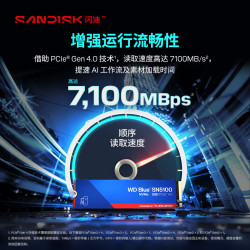 闪迪 SN5100 固态硬
