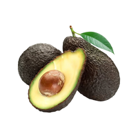 京鲜生 云南孟连哈斯牛油果 超大果6粒装*160g 生鲜水果 源头直发 