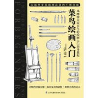 菜鸟绘画入门 当当