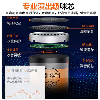  BBS 可调频 无线麦克风 功放接收器