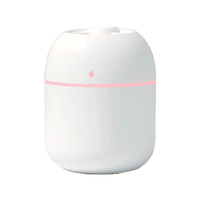 BEHOO 倍呵 迷你加湿器家用办公室桌面车载低噪上加水小型usb空气加湿器 潮流护理电器 水滴白色插电款